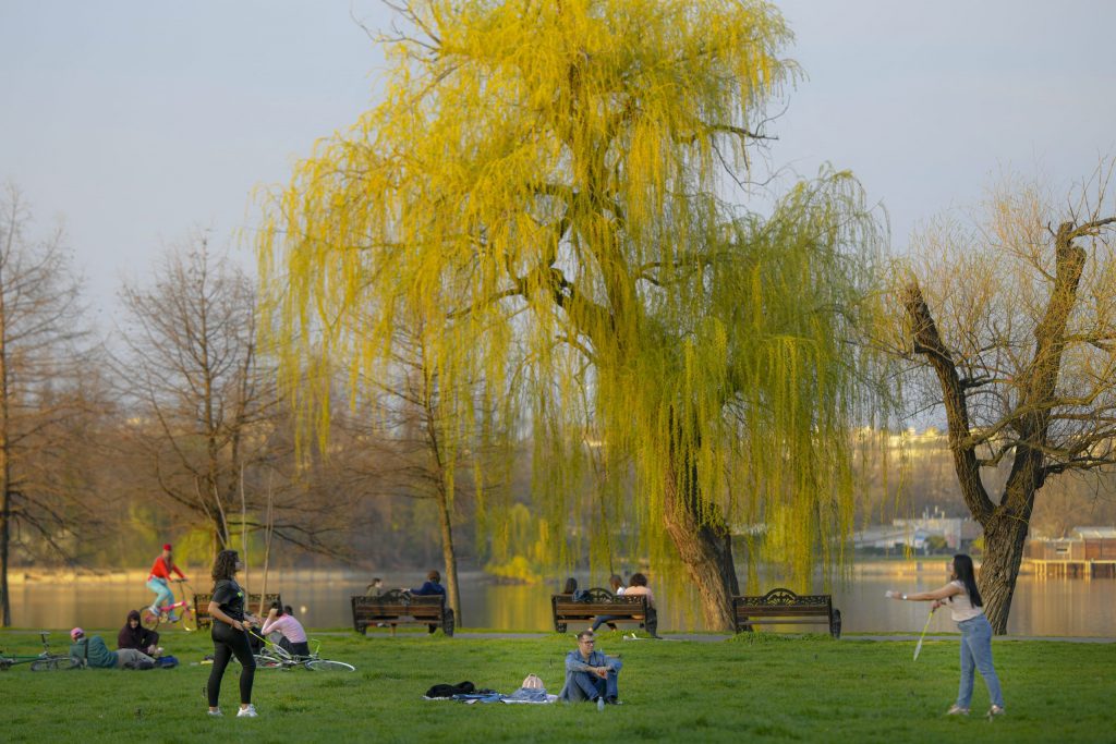 Construcții ilegale în parcul Regele Mihai - Herăstrău din Capitală, oprite de procurori